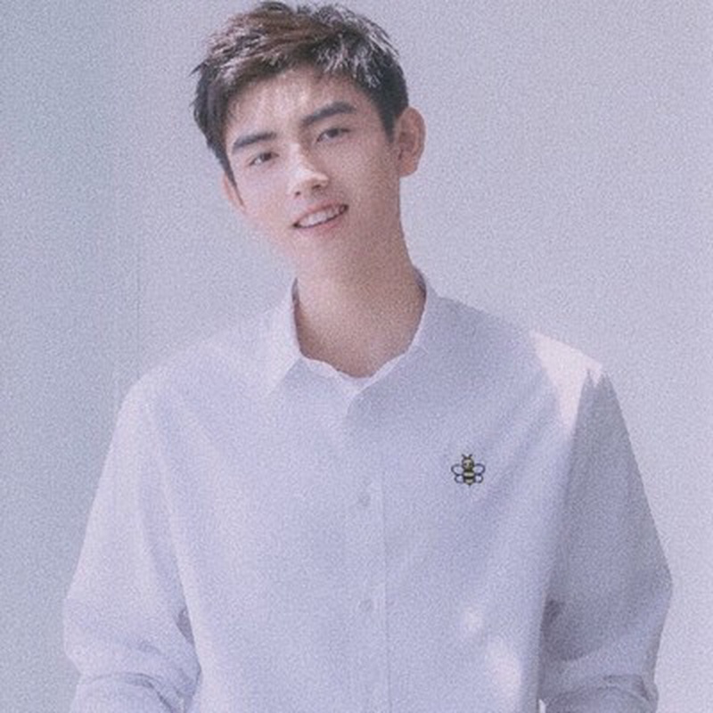 陈飞宇